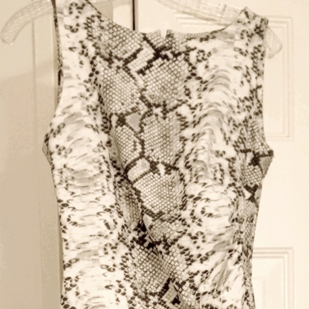 Snakeskin sleeveless long work dress